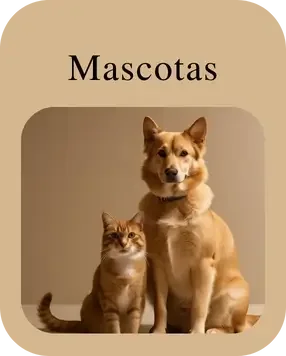 Mascotas