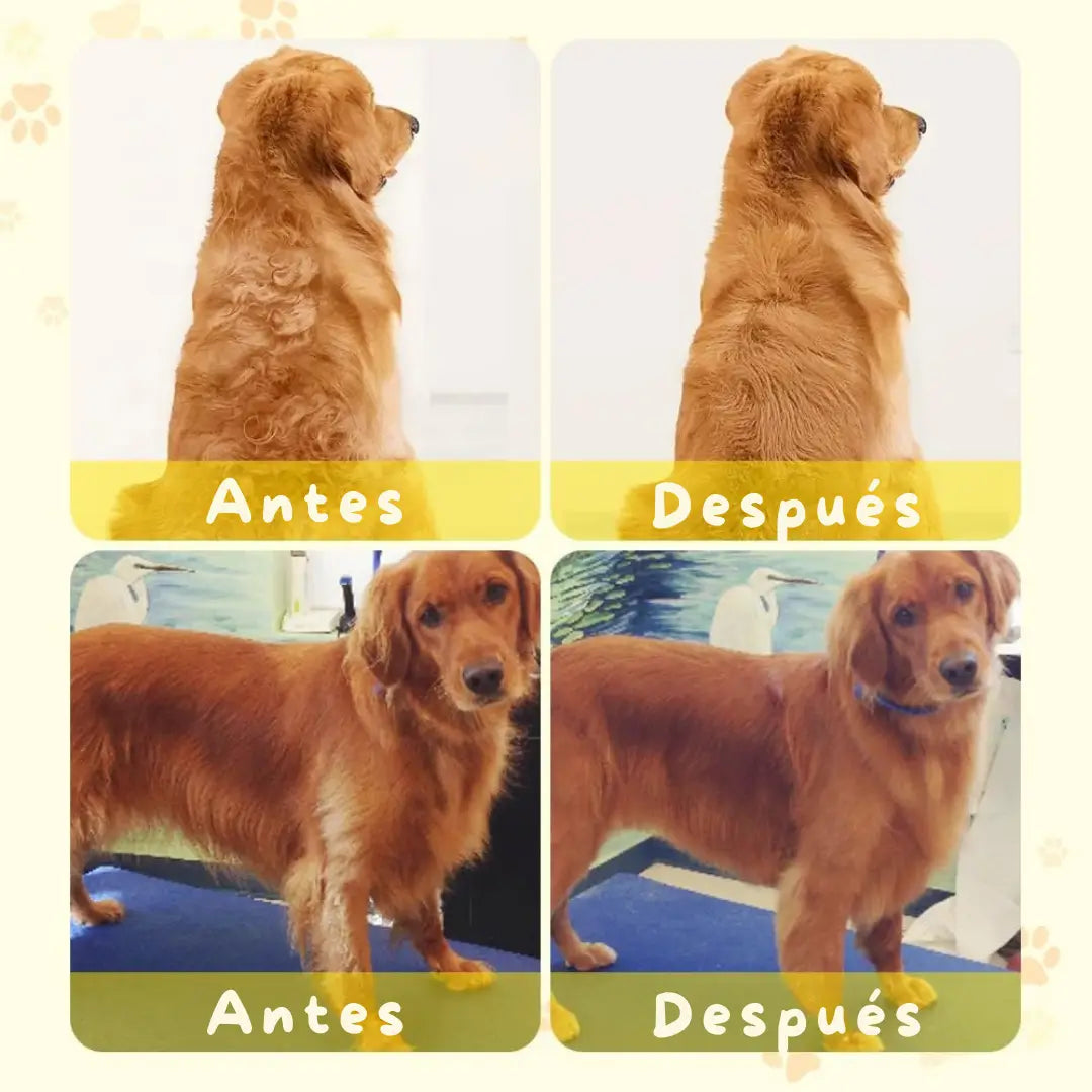 Cepillo vapor de masaje para mascota 3 en 1
